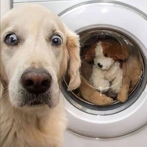 Meet your Posher, Greg